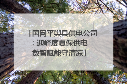 国网平舆县供电公司：迎峰度夏保供电  数智赋能守清凉