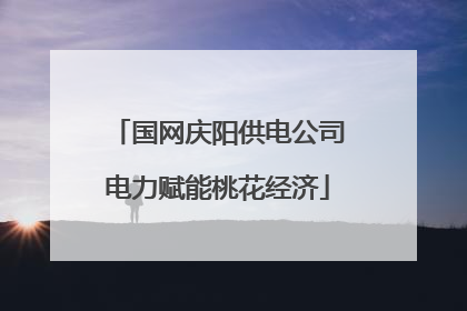 国网庆阳供电公司电力赋能桃花经济