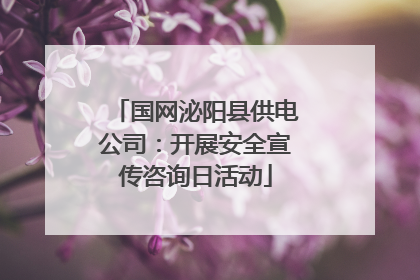 国网泌阳县供电公司：开展安全宣传咨询日活动