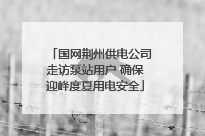 国网荆州供电公司走访泵站用户 确保迎峰度夏用电安全