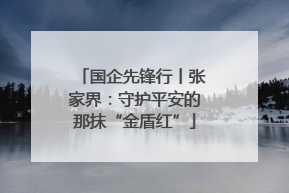 国企先锋行丨张家界：守护平安的那抹“金盾红”