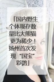 国内野生个体现存数量比大熊猫更为稀少！扬州首次发现“国宝”彩鹮