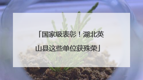 国家级表彰！湖北英山县这些单位获殊荣