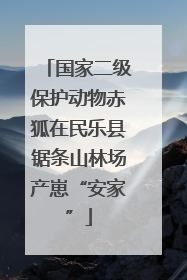 国家二级保护动物赤狐在民乐县锯条山林场产崽“安家”