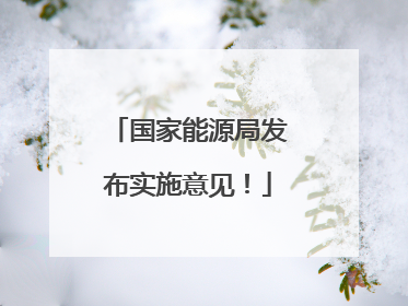 国家能源局发布实施意见！