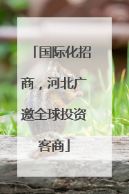 国际化招商，河北广邀全球投资客商