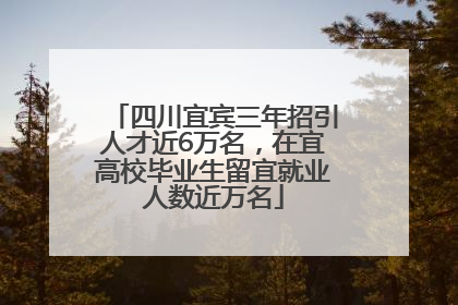 四川宜宾三年招引人才近6万名，在宜高校毕业生留宜就业人数近万名