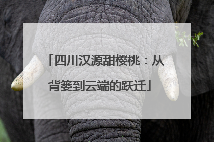 四川汉源甜樱桃：从背篓到云端的跃迁
