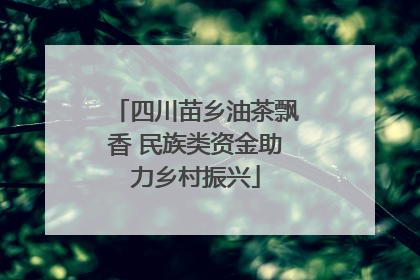 四川苗乡油茶飘香 民族类资金助力乡村振兴