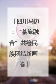四川马边：“茶旅融合”共绘民族团结新画卷