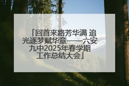 回首来路芳华满 追光逐梦赋华章——六安九中2025年春学期工作总结大会