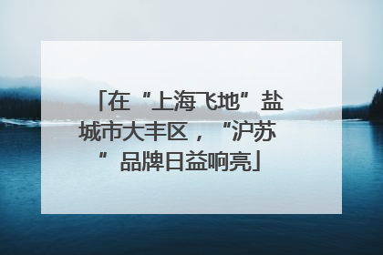 在“上海飞地”盐城市大丰区，“沪苏”品牌日益响亮