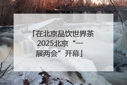 在北京品饮世界茶 2025北京“一展两会”开幕