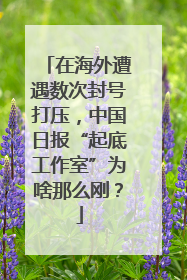 在海外遭遇数次封号打压，中国日报“起底工作室”为啥那么刚？