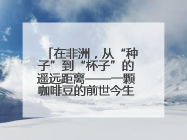 在非洲，从“种子”到“杯子”的遥远距离——一颗咖啡豆的前世今生（三）