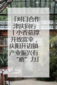 对口合作 津庆同行丨小香菇撑开致富伞，庆阳开边镇产业振兴有“蘑”力