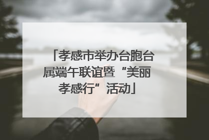 孝感市举办台胞台属端午联谊暨“美丽孝感行”活动