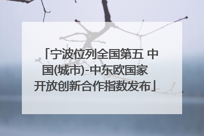 宁波位列全国第五 中国(城市)-中东欧国家开放创新合作指数发布