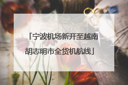 宁波机场新开至越南胡志明市全货机航线