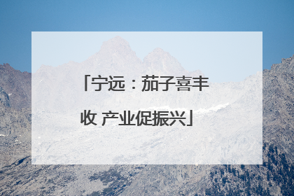 宁远：茄子喜丰收 产业促振兴