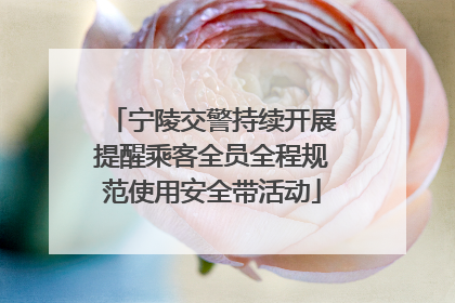 宁陵交警持续开展提醒乘客全员全程规范使用安全带活动