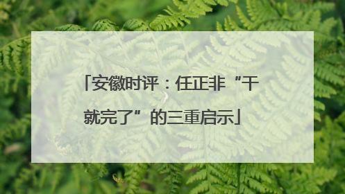 安徽时评：任正非“干就完了”的三重启示