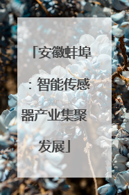 安徽蚌埠：智能传感器产业集聚发展