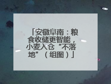 安徽阜南：粮食收储更智能，小麦入仓“不落地”（组图）