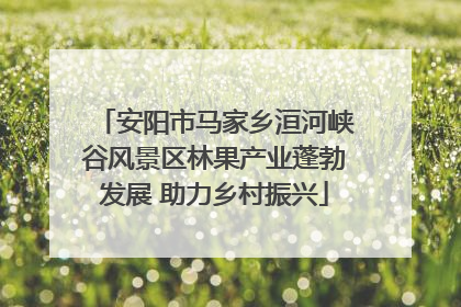 安阳市马家乡洹河峡谷风景区林果产业蓬勃发展 助力乡村振兴