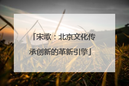 宋歌：北京文化传承创新的革新引擎