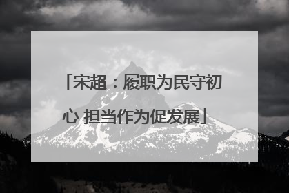宋超：履职为民守初心 担当作为促发展