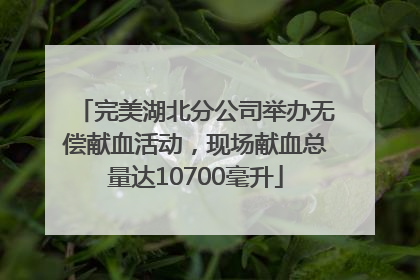 完美湖北分公司举办无偿献血活动，现场献血总量达10700毫升