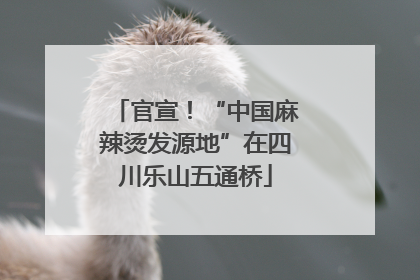 官宣！“中国麻辣烫发源地”在四川乐山五通桥
