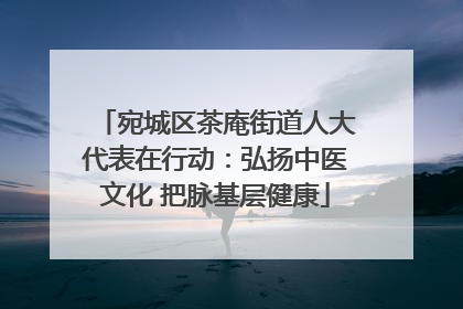 宛城区茶庵街道人大代表在行动：弘扬中医文化 把脉基层健康