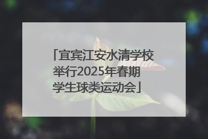 宜宾江安水清学校举行2025年春期学生球类运动会