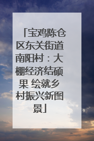 宝鸡陈仓区东关街道南阳村：大棚经济结硕果 绘就乡村振兴新图景