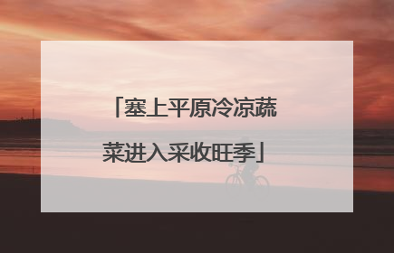 塞上平原冷凉蔬菜进入采收旺季
