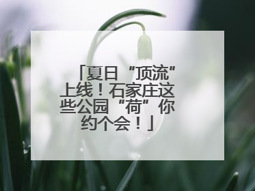 夏日“顶流”上线！石家庄这些公园“荷”你约个会！
