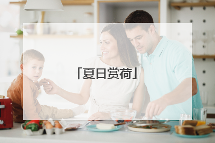夏日赏荷
