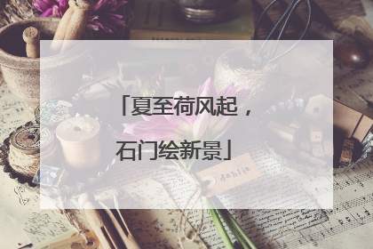 夏至荷风起，石门绘新景