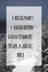 夏花绚烂！国家植物园萱草睡莲等进入盛花期