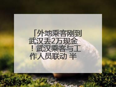 外地乘客刚到武汉丢2万现金！武汉乘客与工作人员联动 半小时完璧归赵
