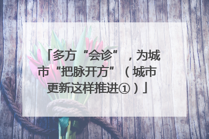 多方“会诊”，为城市“把脉开方”（城市更新这样推进①）