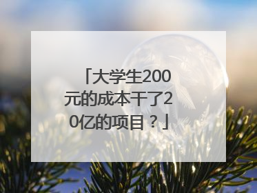 大学生200元的成本干了20亿的项目？