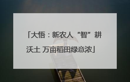 大悟：新农人“智”耕沃土 万亩稻田绿意浓