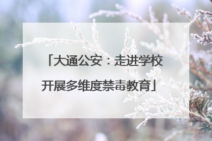 大通公安：走进学校开展多维度禁毒教育