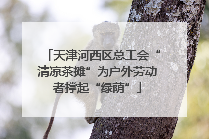 天津河西区总工会“清凉茶摊”为户外劳动者撑起“绿荫”
