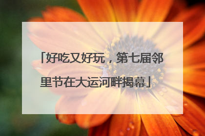 好吃又好玩，第七届邻里节在大运河畔揭幕