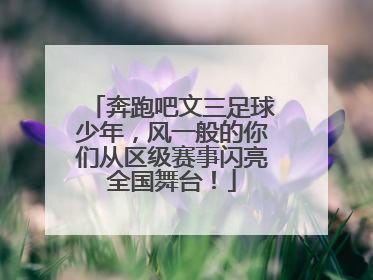 奔跑吧文三足球少年，风一般的你们从区级赛事闪亮全国舞台！