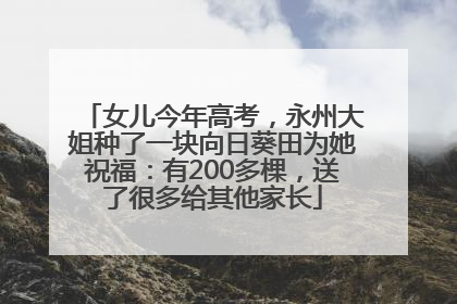 女儿今年高考，永州大姐种了一块向日葵田为她祝福：有200多棵，送了很多给其他家长